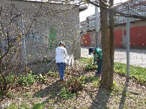 DSCN0522