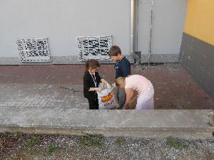 DSCN0535