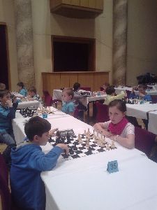 Ostravský koník - chess tournament16