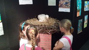 20150514_143537