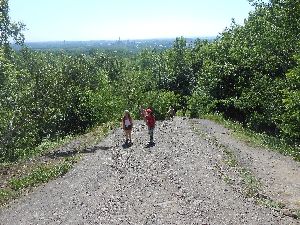 DSCN0942