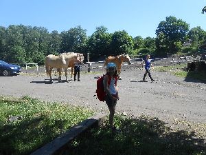 DSCN0939