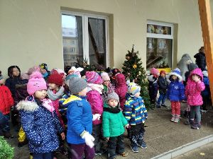 2020.12.20. - Lišky už se těší na Vánoce (24)