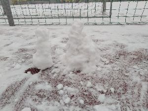 2020.12.20. - Lišky už se těší na Vánoce (32)