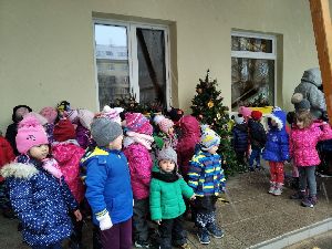 2020.12.20. - Lišky už se těší na Vánoce (25)