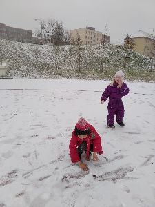 2020.12.20. - Lišky už se těší na Vánoce (30)