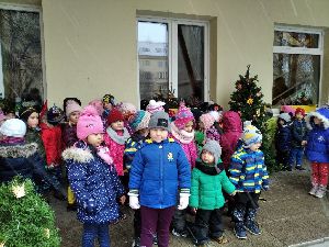 2020.12.20. - Lišky už se těší na Vánoce (26)