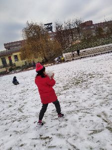 2020.12.20. - Lišky už se těší na Vánoce (43)