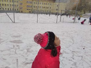 2020.12.20. - Lišky už se těší na Vánoce (34)