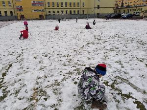 2020.12.20. - Lišky už se těší na Vánoce (40)