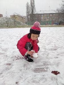 2020.12.20. - Lišky už se těší na Vánoce (35)