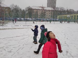 2020.12.20. - Lišky už se těší na Vánoce (33)