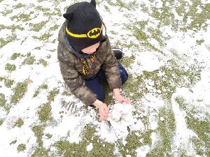 2020.12.20. - Lišky už se těší na Vánoce (39)