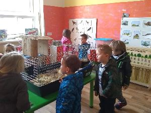 Včeličky navštívily ZOOkoutek ve školce (12)