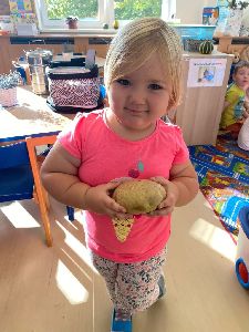 Brambory (5)