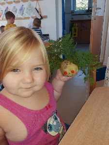 Brambory (34)