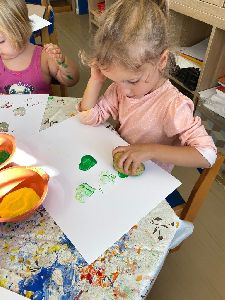 Brambory (21)