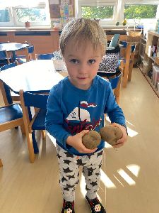 Brambory (8)