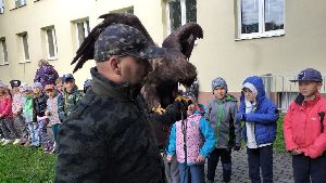 Sokolník (15)