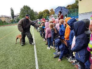 Policejní výcvik psů na Ostrčilce 13. 10. 2021 (1)