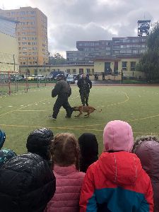 Policejní výcvik psů na Ostrčilce 13. 10. 2021 (3)