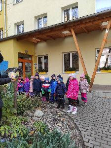 Advent (49)