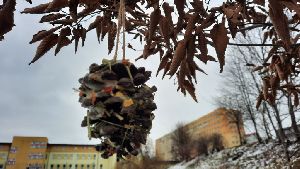 IMG-20220208-WA0003