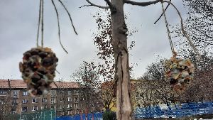 IMG-20220208-WA0002