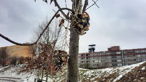 IMG-20220208-WA0004