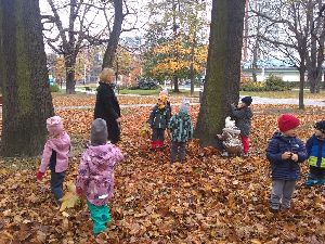 IMG_20211109_103905939
