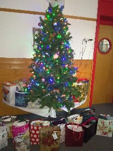IMG_20211209_124628306