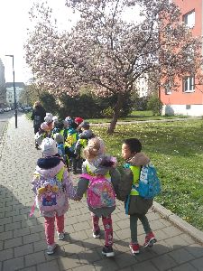 IMG_20220427_092249834