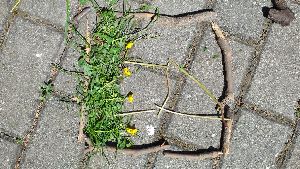 Landart (2)