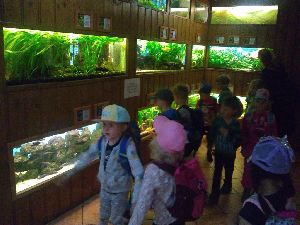 IMG_20220526_103220356