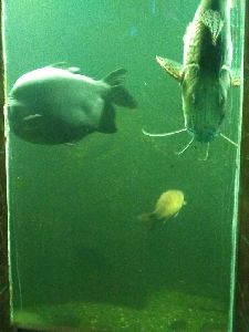 IMG_20220526_105320144