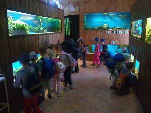 IMG_20220526_103318339