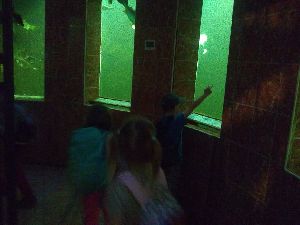 IMG_20220526_104001833