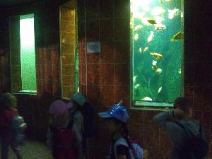 IMG_20220526_103925172