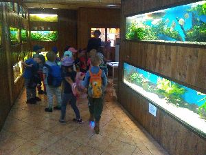 IMG_20220526_105437643