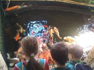 IMG_20220526_104535669