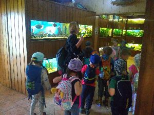 IMG_20220526_105417602
