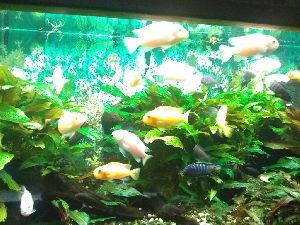 IMG_20220526_103538005