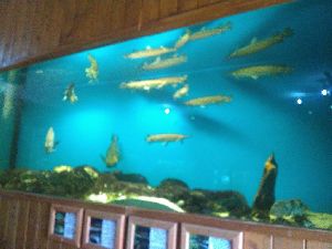 IMG_20220526_103415742