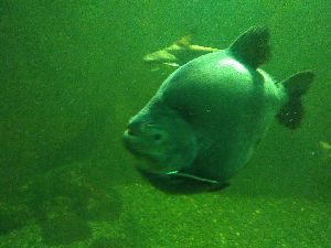 IMG_20220526_105327652