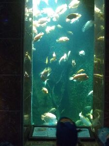 IMG_20220526_103900458