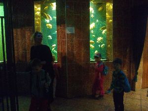 IMG_20220526_104037014