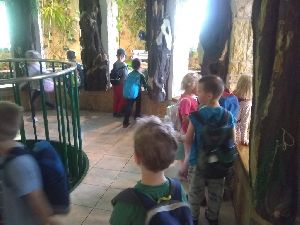 IMG_20220526_104455505