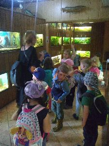 IMG_20220526_105424179