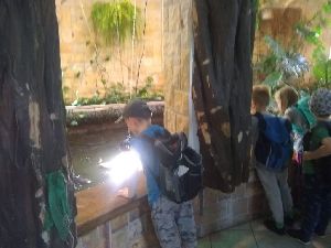 IMG_20220526_104406584