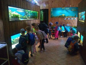 IMG_20220526_103320454